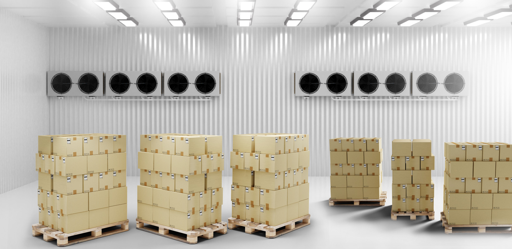 Boxes inside in industrial refrigerator